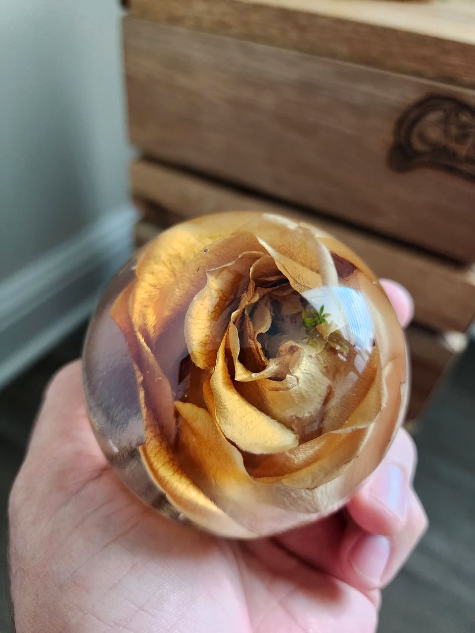 Golden rose resin sphere held in a hand