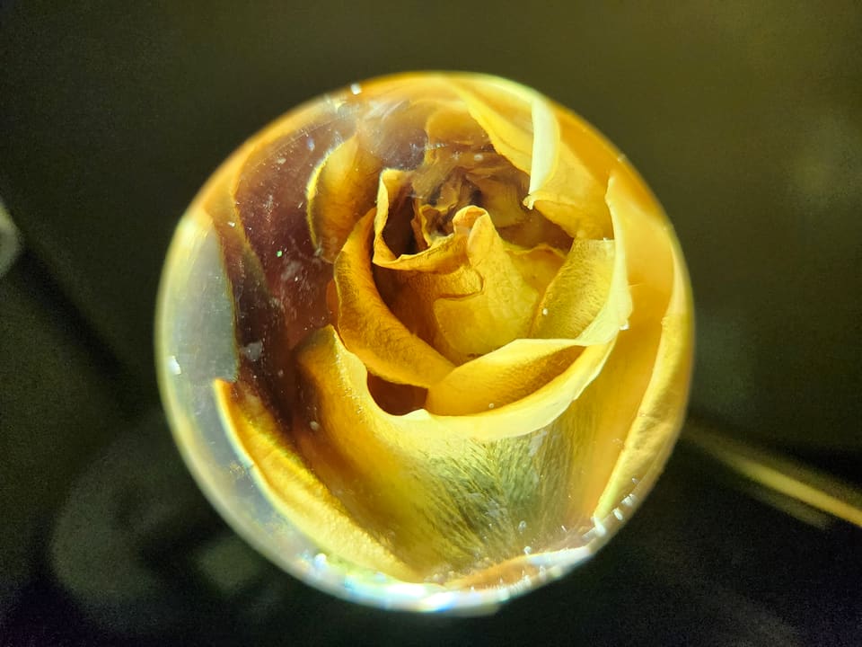 Close detail of petals inside the backlit resin sphere